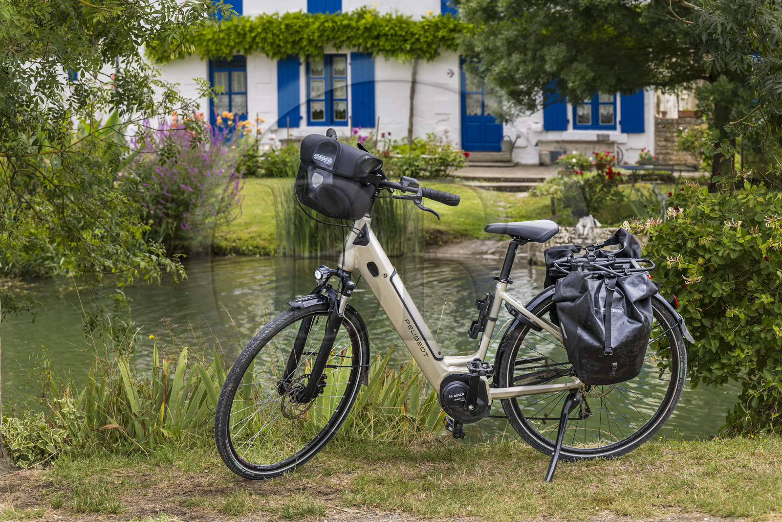 France, Deux-Sèvres (79), le Marais Poitevin, la Venise Verte, bicyclette électrique Peugeot concue pour la randonnée