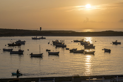 France, Finistère, Iroise Sea, Molene Island, the fishing boats are at anchor in the summer between the town and the Lédenez Vraz islet in the background