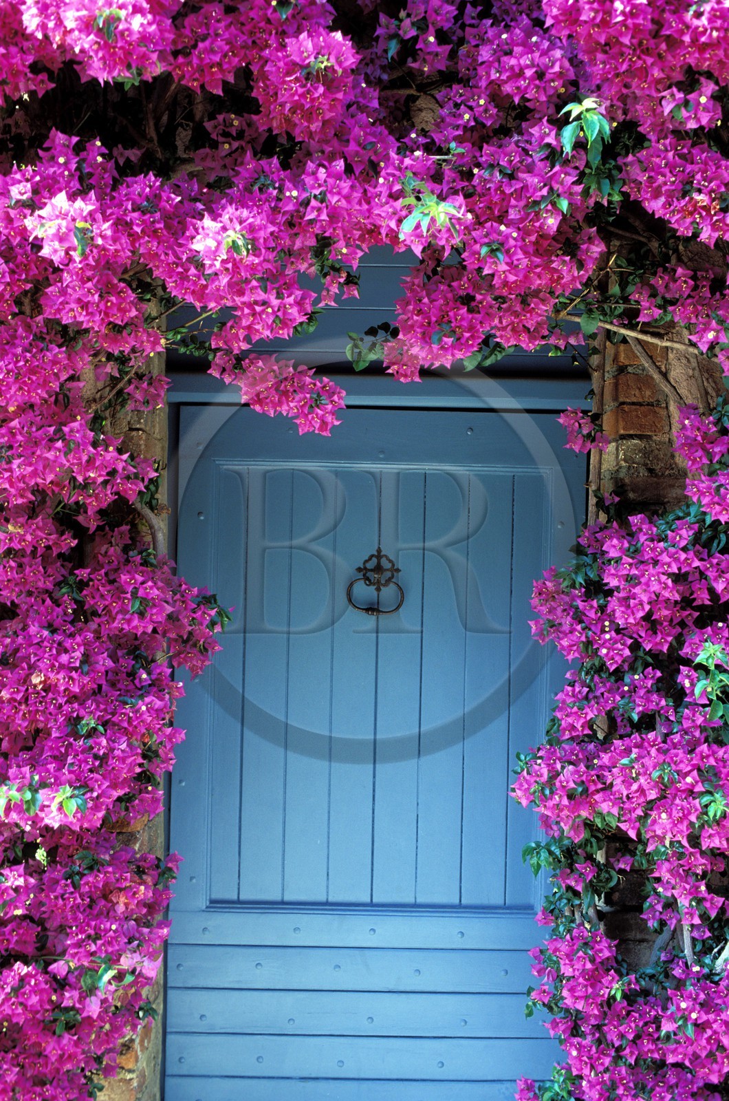 France, Var (83), porte fleurie dans le village de Grimaud