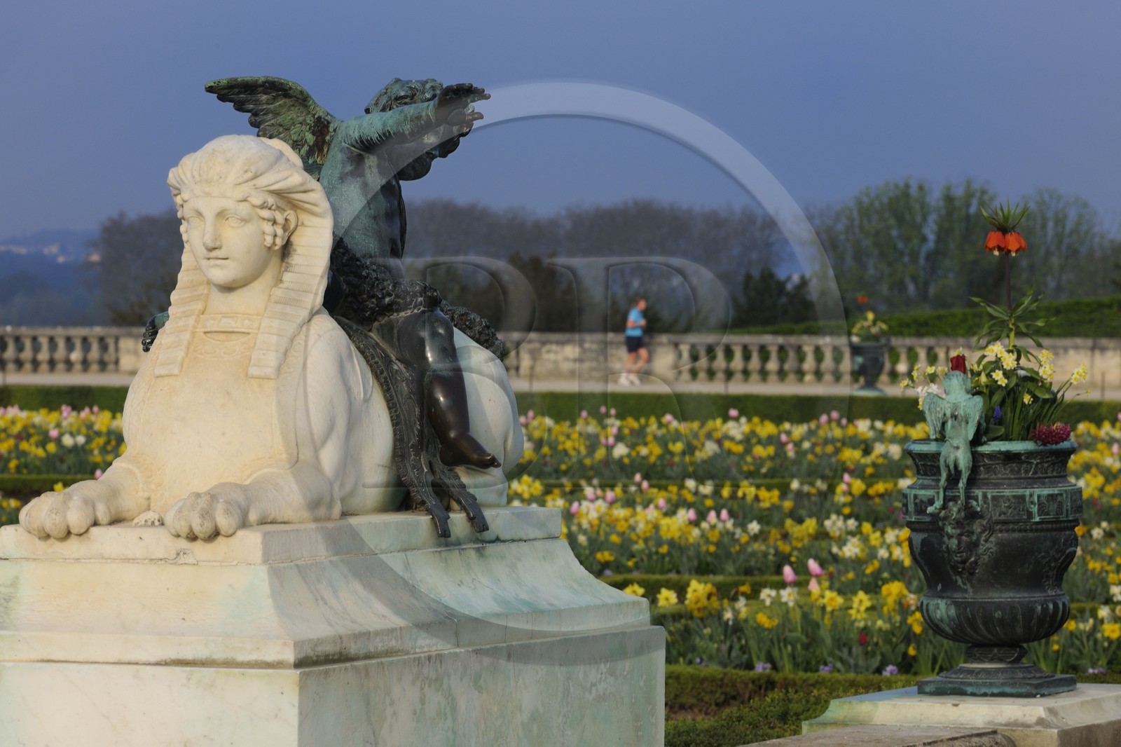 France, Yvelines (78), parc du château de Versailles, classé Patrimoine Mondial de l'UNESCO, parterre du Midi, sphinx et un des vases en bronze entourant le château