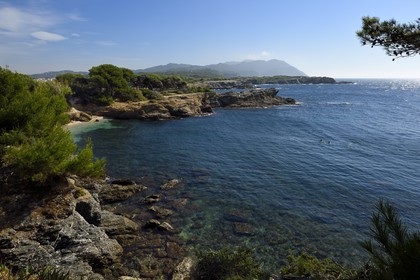 France, Var, Ile des Embiez, Coucoussa beach