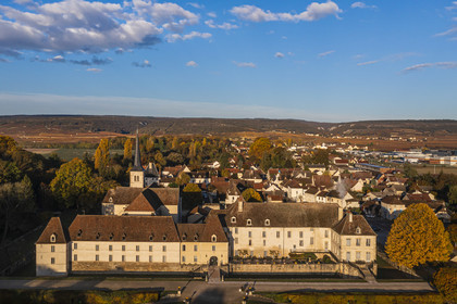 France, Cote d'Or, cultural Landscape of the climates of Burgundy listed as World Heritage by UNESCO, Route des Grands Crus (road of Vintage Wines), Gilly les Citeaux, Chateau de Gilly, luxury Hotel and Restaurant, the vineyards in the background (aerial view)