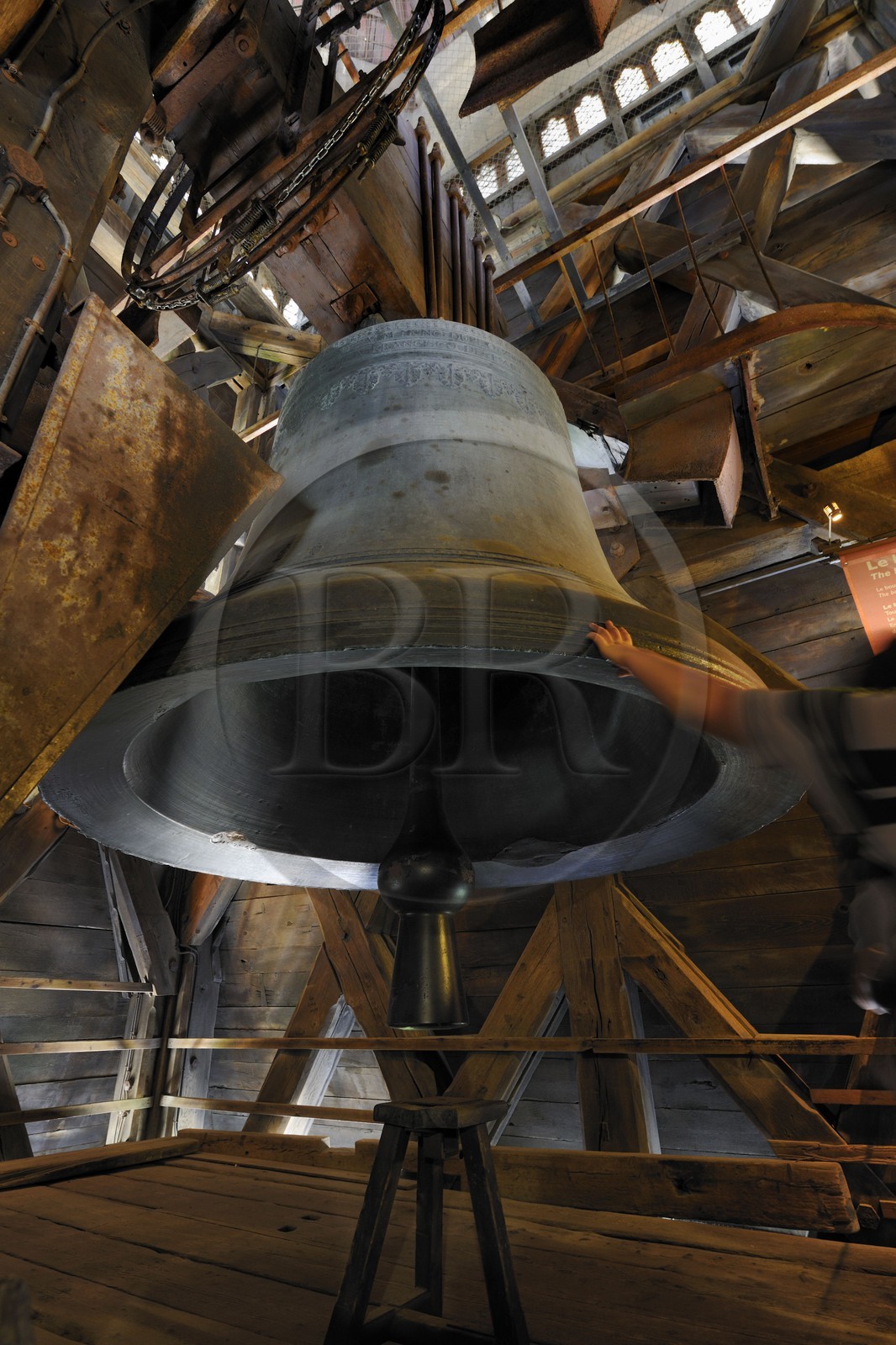 France, Paris (75), île de la Cité, la cathédrale Notre-Dame, le grand bourdon