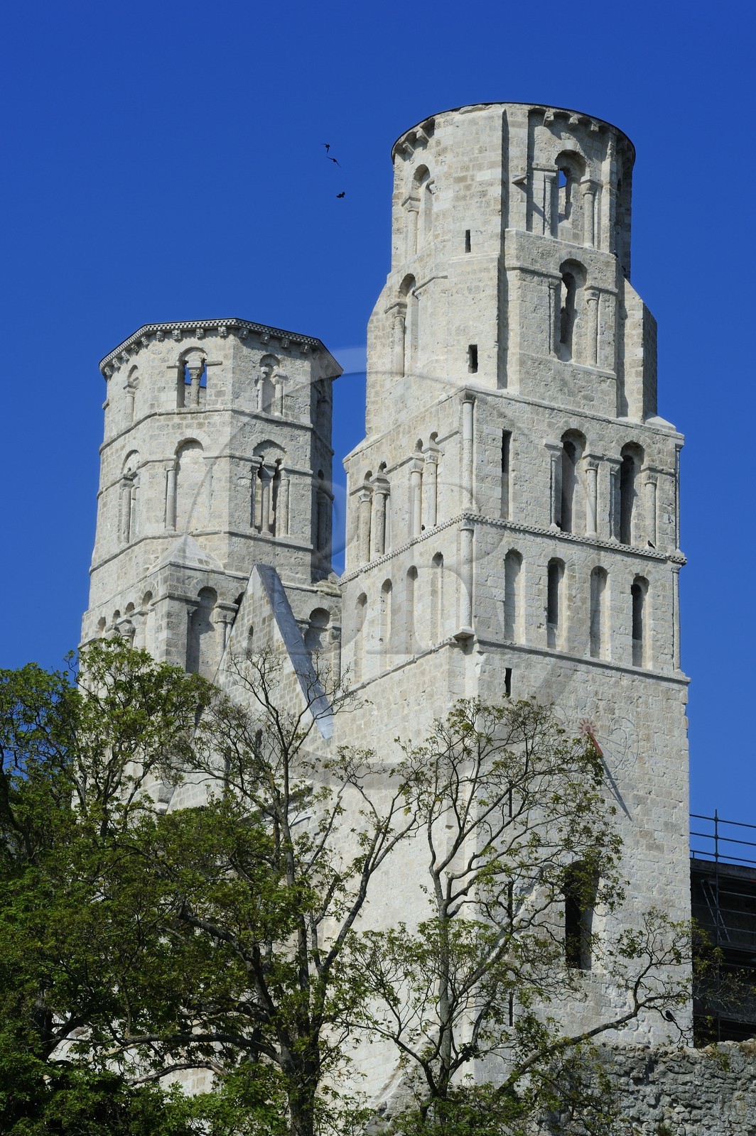 France, Seine-Maritime (76), Pays de Caux, Jumièges, abbaye Saint-Pierre de Jumièges fondée au VIIe siècle