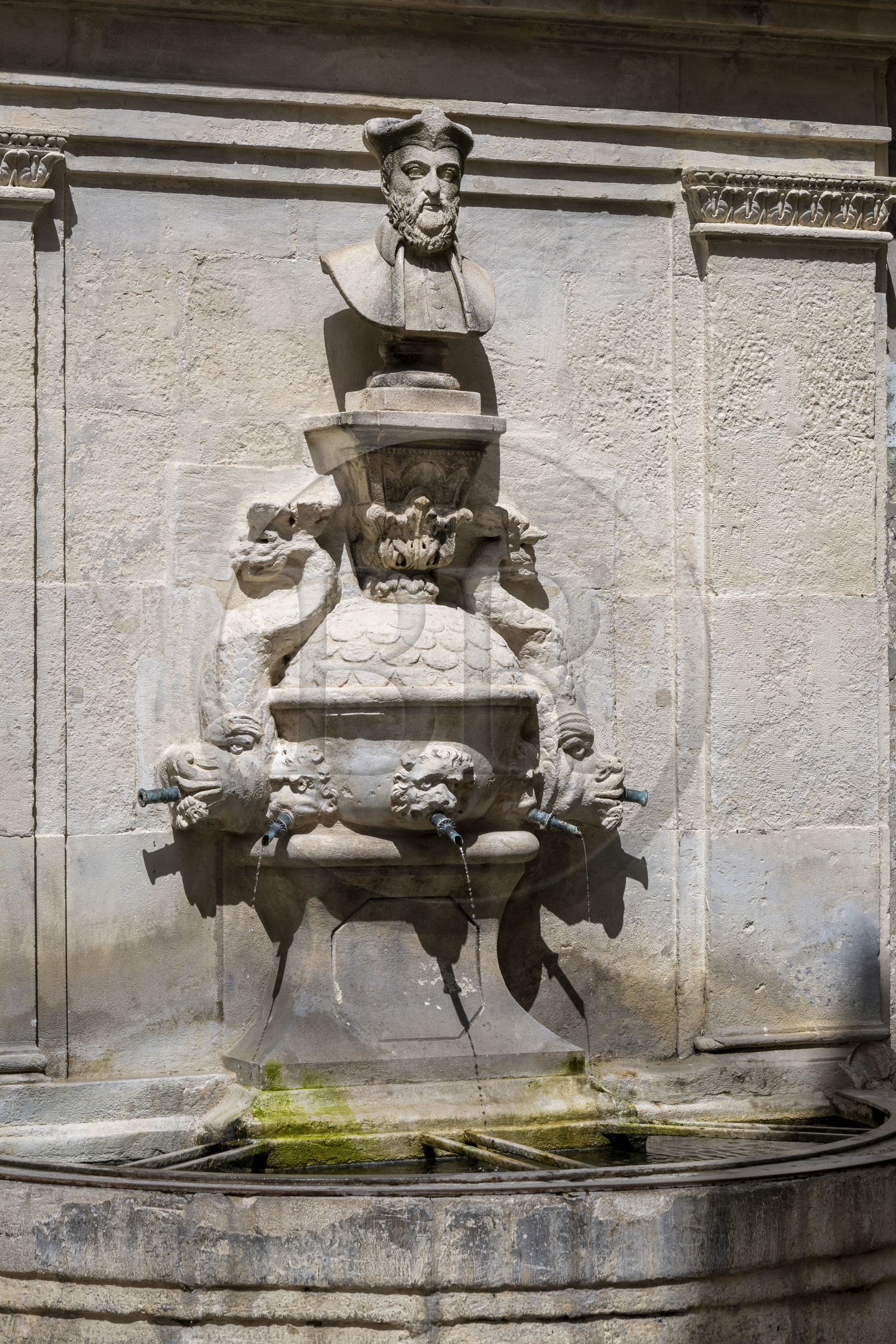 France, Bouches-du-Rhône (13), Parc Naturel Régional des Alpilles, Saint-Rémy-de-Provence, la Font Vieio alias la fontaine Nostradamus