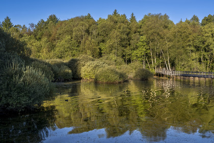 France, Nièvre (58), Parc naturel régional du Morvan, Moux-en-Morvan, lac des Settons, la passerelle de Chevigny au sud du lac au niveau de l'embouchure de la rivière Cure, possède un observatoire ornithologique