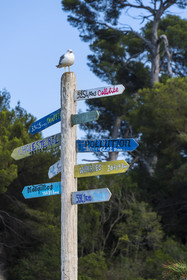 France, Alpes-Maritimes (06), Cannes, Iles de Lérins, Ile Sainte-Marguerite, restaurant la Guérite chez Bruno en dessous du Fort Royal, panneau directionnel humoristique