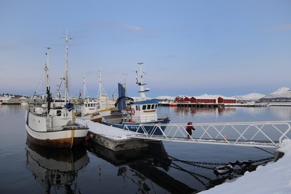 Norvège, Nordland, iles des Westeralen, port de Myre à la nuit tombante