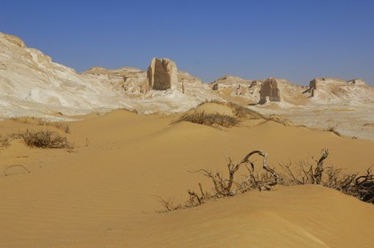 Egypt, Libyan Desert, the White Desert North of Farafra