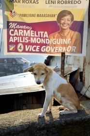 Philippines, province d'Ifugao, ville de Banaue