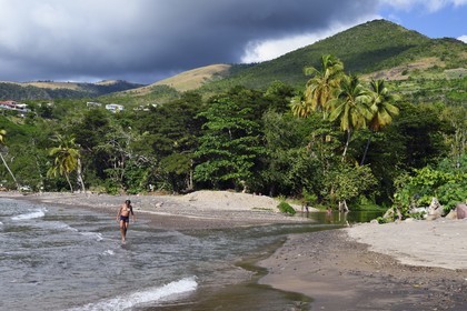 Caribbean, Dominica Island, Coulibistrie, Batalie Beach and estuary of the Coulibistrie river