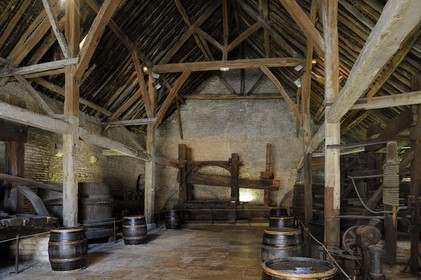 France, Côte-d'Or (21), Beaune, Hôtel des Ducs de Bourgogne et musée du vin, cuves et pressoirs