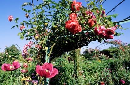 France, Eure, Giverny, Claude Monet Foundation garden