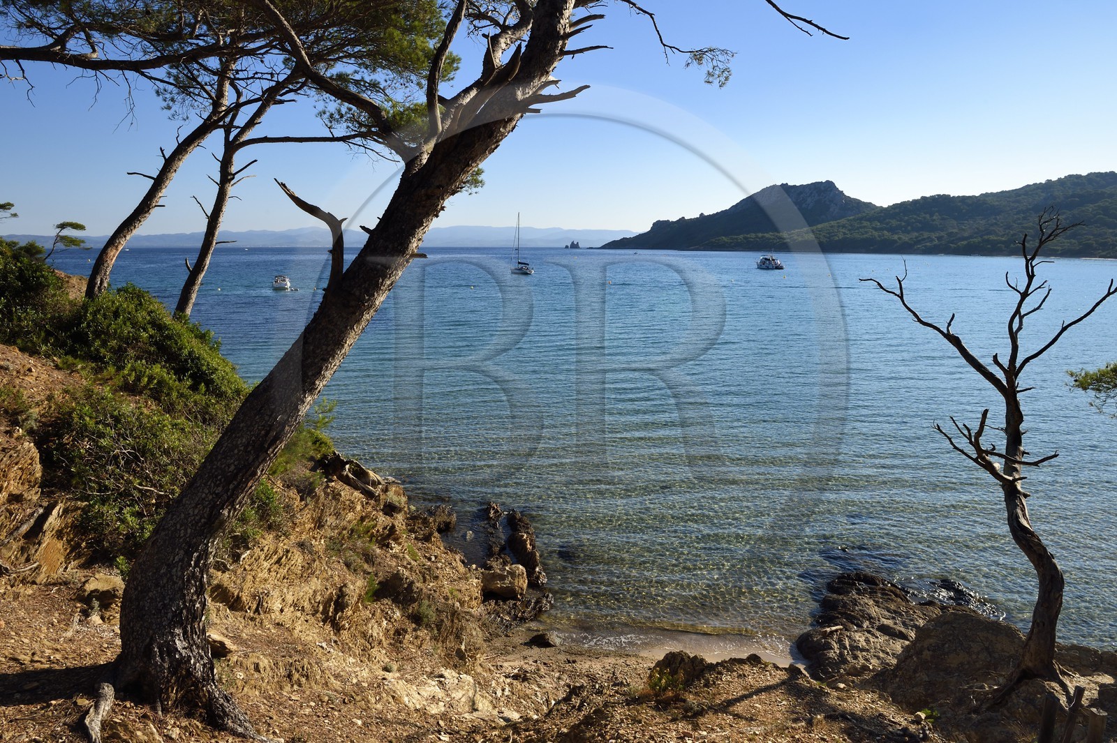 France, Var, Iles d'Hyeres, Parc National de Port Cros (National park of Port Cros), Porquerolles island, Notre-Dame beach in Alycastre Bay and the Cap des Medes in the background