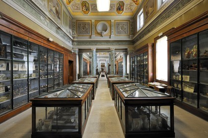 France, Hérault (34), Montpellier, centre historique, faculté de médecine, le musée d'anatomie