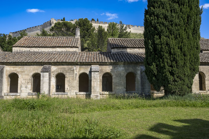 France (30), Gard, Villeneuve-lès-Avignon, la Chartreuse Notre-Dame-du-Val-de-Bénédiction, le grand cloitre ou cloitre des morts surplombé par le Fort Saint André