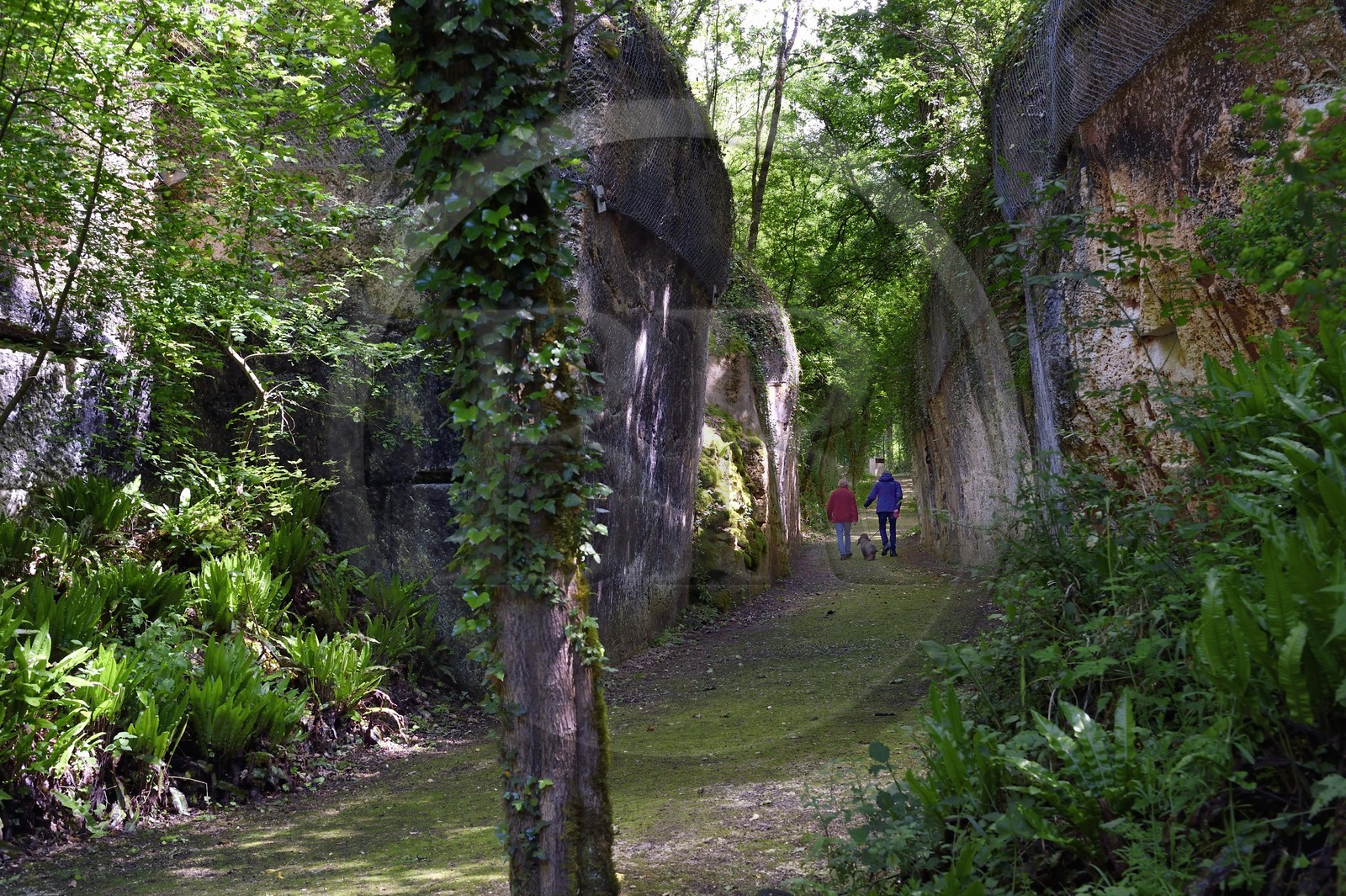 France, Charente-Maritime (17), Saintonge, Crazannes, La Pierre de Crazannes, les anciennes carrières