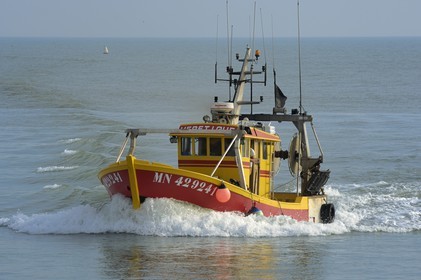 France, Charente-Maritime (17), Ile d'Oléron, retour de pêche au port de la Cotinière