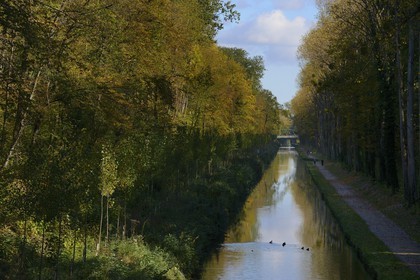 France, Seine-Saint-Denis (93), Sevran, le canal de l'Ourcq traverse le parc national forestier de la Poudrerie