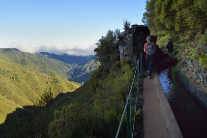 Portugal, Ile de Madère, randonnée par la levada do Alecrim dans La forêt de Rabaçal, la forêt Laurissilva classée Patrimoine Mondial de l'UNESCO, unique vestige de la forêt primaire qui recouvrait le sud de l’Europe il y a des millions d’années, en contrebas la vallée sauvage de 18 km Ribeira da Janela qui descend vers la mer