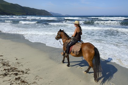 France, Haute Corse, Nebbio, Agriates Desert, Peraiola Cove, rider on the Ostriconi beach