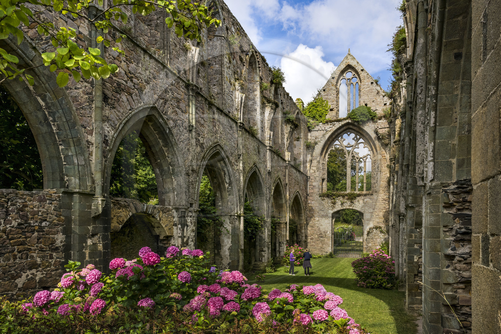France, Côtes d'Armor (22), Paimpol, abbaye de Beauport du XIIIème siècle, intérieur de l'église abbatiale
