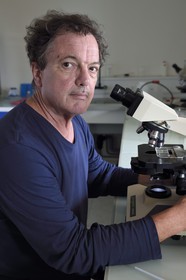 France, Var, Ile des Embiez,  Jean-Luc Bonnefont, research director at the Paul Ricard Oceanographic Institute