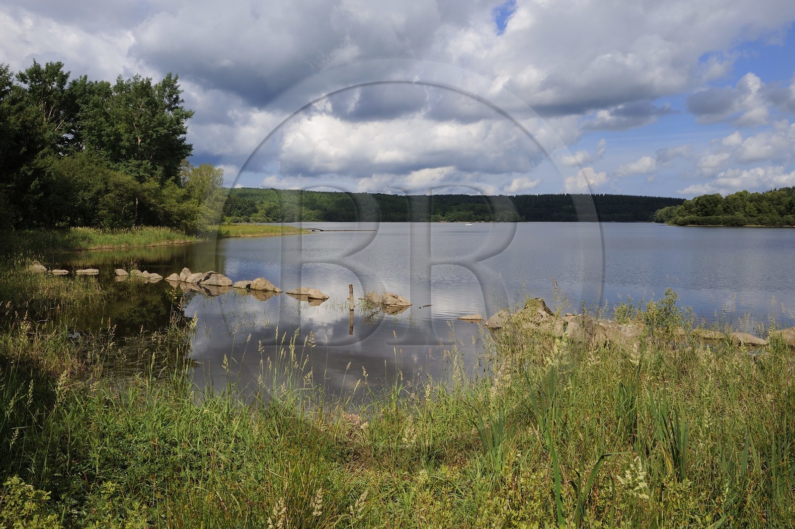 France, Nièvre (58), lac de Saint-Agnan