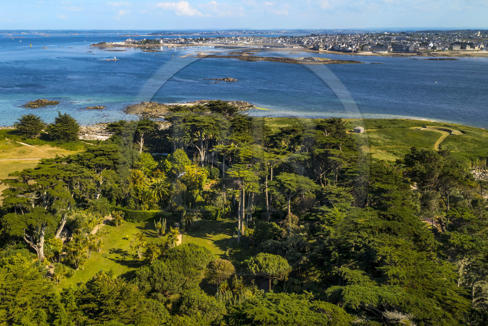 France, Finistère (29), Iles du Ponant, Ile de Batz, jardin Georges Delaselle ou jardin colonial, jardin exotique présentant une collection botanique provenant des cinq continents et Roscoff en arrière plan (vue aérienne)