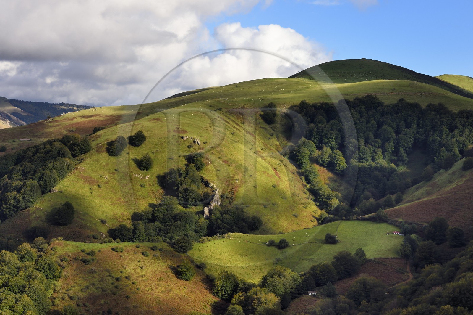 France, Pyrénées-Atlantiques (64), Pays-Basque, vallée des Aldudes, Urepel, frontière espagnole et limite du pays Quint (Kintoa)