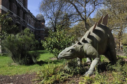 France, Paris (75), Jardin des Plantes, Museum National d'Histoire Naturelle, dinosaure devant la Galeries de Paléontologie et d'Anatomie comparée