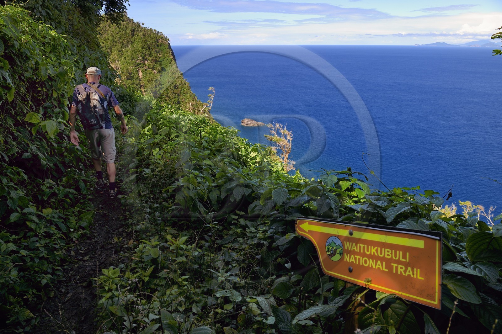 Caraïbes, Ile de la Dominique, randonneur sur le segment 13 du Waitukubuli National Trail dans le nord de l'île entre Pennville et Capuchin, les Saintes en Guadeloupe en arrière plan