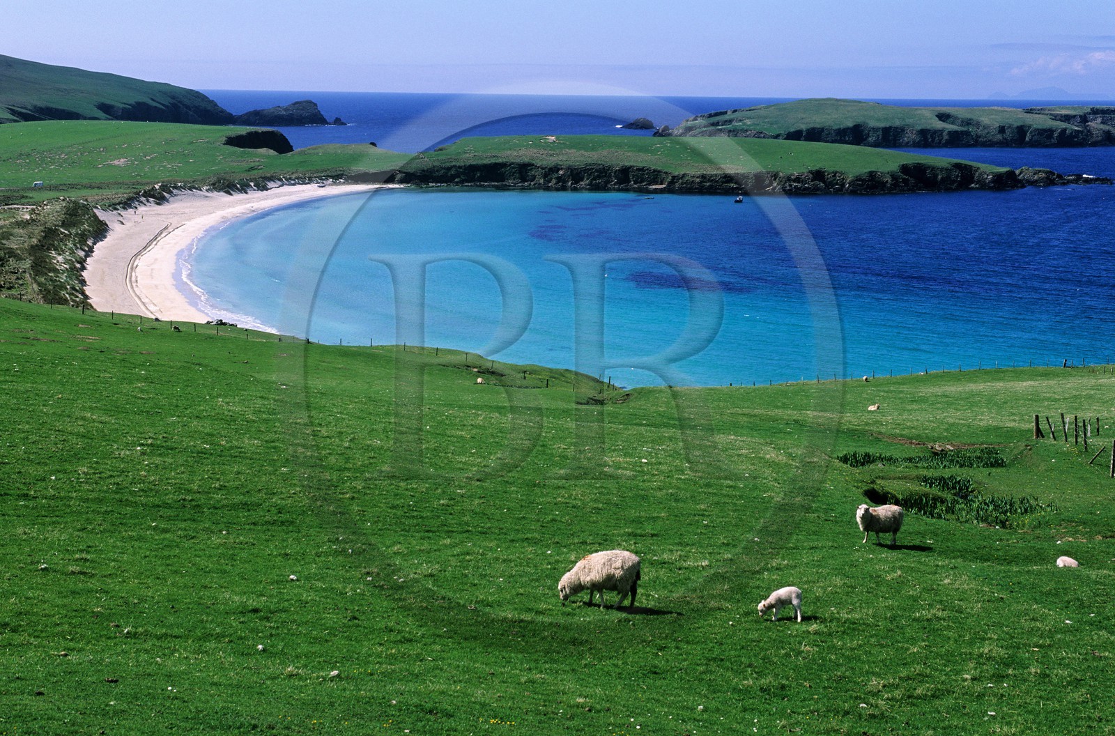Royaume-Uni, Ecosse, les Shetland, Sud du Mainland, côte ouest, plage de sable blanc
