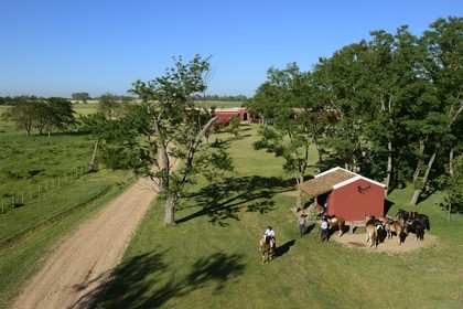 Argentine, province de Buenos Aires, San Antonio de Areco, estancia La Bamba de Areco, gauchos se préparant au départ