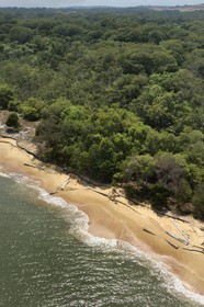 Gabon, province de l'Estuaire, Parc National Wonga Wongue, billes de bois échouées sur la plage en zone littorale (vue aérienne)