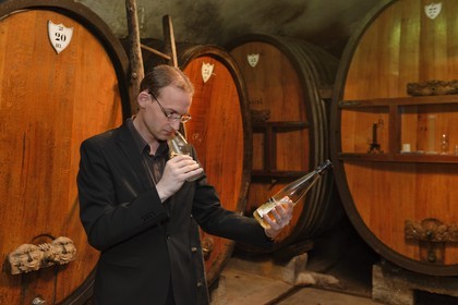 France, Bas Rhin, the Alsace Wine Route, Mittelbergheim, labelled Les Plus Beaux Villages de France (The Most Beautiful Villages of France), in the Domaine Wittmann wine cellar, Romain Iltis, Best Sommelier of France in 2012