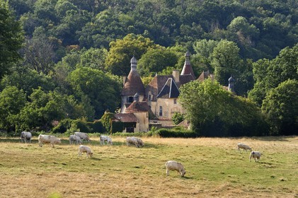 France, Allier (03), former province of Bourbonnais, Besson, le Vieux Bostz castle belonging to the descendants of the Bourbon-Parma