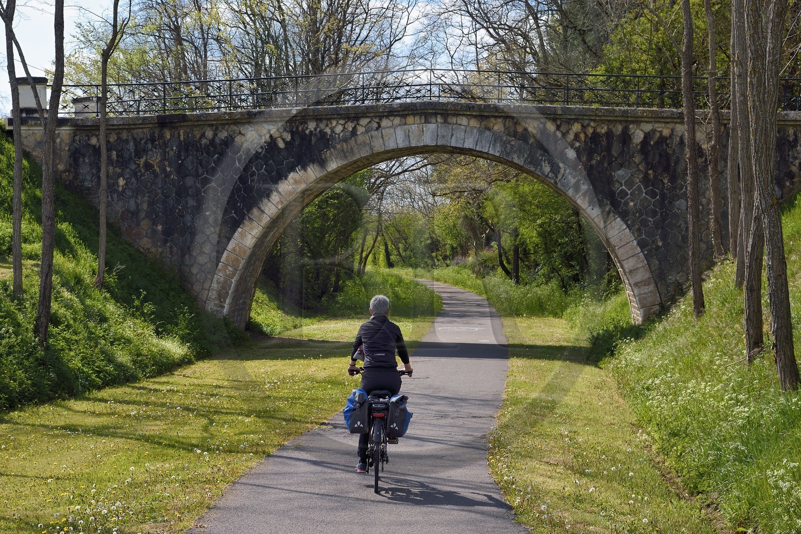 France, Charente (16), Saint-Germain-de-Montbron, cycliste sur la voie verte de la Coulée d’Oc (portion de la véloroute La Flow Vélo) sur le tracé d'une ancienne voie de chemin de fer