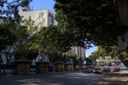 Espagne, Andalousie, Malaga, quartier Soho, barrio de las Artes (quartier des Arts), Maus street art, Infinitud del Universo de l'artiste Faith47 dans l'avenue Alameda Principal