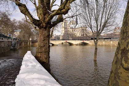 France, Paris, area listed as World Heritage by UNESCO, the banks of the Seine, classified World Heritage by UNESCO, the Seine in flood quai de la Tournelle and the Notre-Dame Cathedral under the snow on the Ile de la Cité