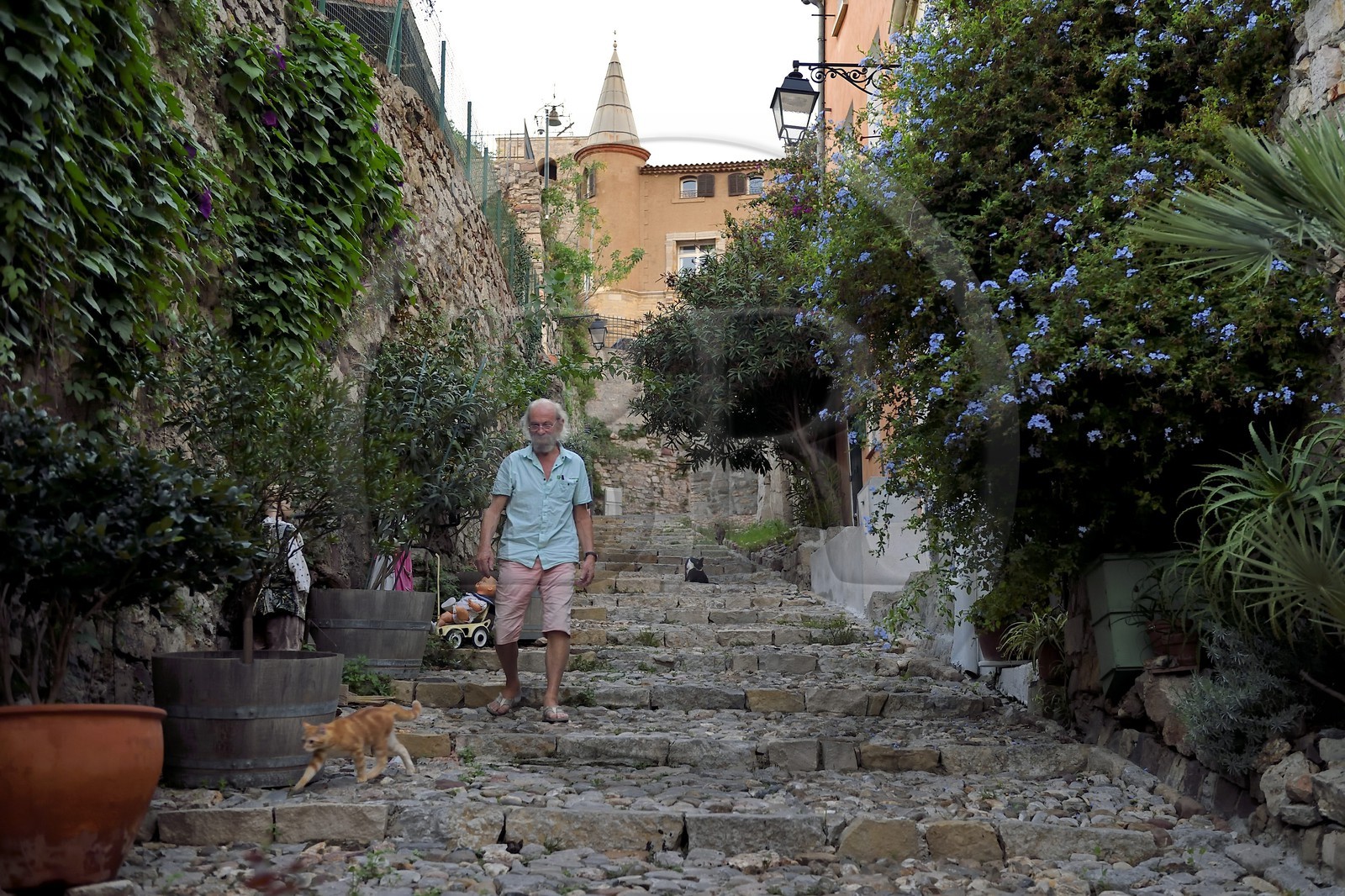 France, Var (83), Hyères, rue du Repos