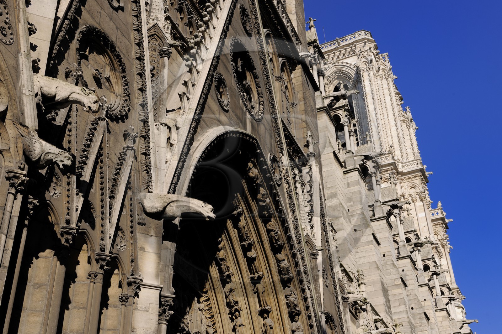 France, Paris (75), Ile de la Cité, cathédrale Notre-Dame de Paris, gargouilles de la façade nord