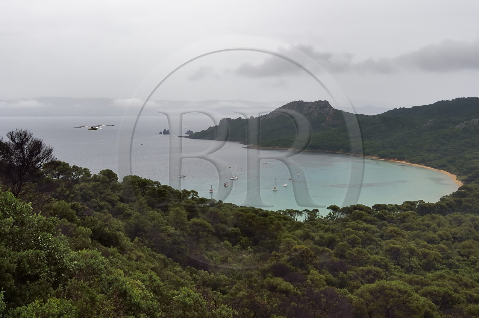 France, Var (83), Iles d'Hyères, parc national de Port Cros, Ile de Porquerolles, la Baie de l'Alycastre par temps pluvieux et le Cap des Mèdes en arrière-plan