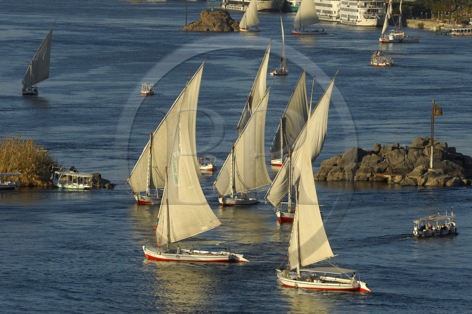 Egypte, Haute Egypte, vallée du Nil, Assouan, felouque sur le Nil