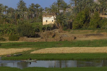 Egypte, Haute Egypte, vallée du Nil, barque de pêcheur sur le Nil entre Louxor et Esna