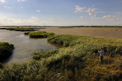France, Hérault (34), région du Cap d'Agde, la Réserve Naturelle Nationale du Bagnas à l’ouest de l’étang de Thau