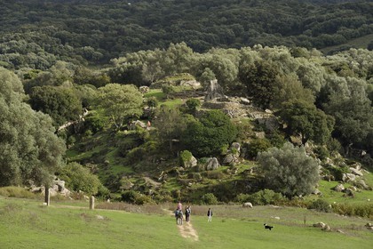 France, Corse du Sud, prehistoric site of Filitosa, alignment of menhirs statues and the oppidum in the background