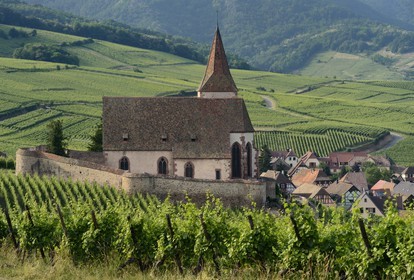 France, Haut-Rhin (68), Route des Vins d'Alsace, Hunawihr, labellisé Les Plus Beaux Villages de France, Eglise de Sainte-Hune