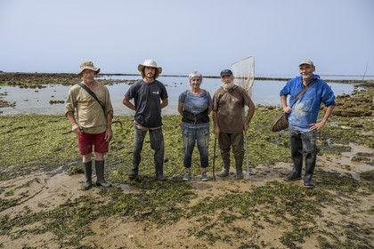 France, Charente Maritime, Oleron island, Saint Georges d'Oléron, Sables Vignier beach at low tide, authorized fishermen at the Basses fish lock, Christian, Nathan, head Francine Fèvre, Jean Guy and Jean Baptiste, all members of the Laure Brégaud Concession