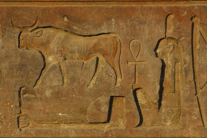 Egypte, Haute Egypte, vallée du Nil, temple de Louxor classé Patrimoine Mondial de l'UNESCO